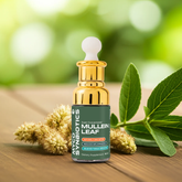 Mullein Leaf Extract – Organic Herbal Support for Respiratory & Lung Health